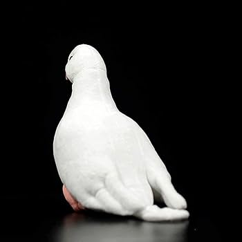 Amazon.co.jp: かわいい白い鳩ぬいぐるみソフトシミュレーション