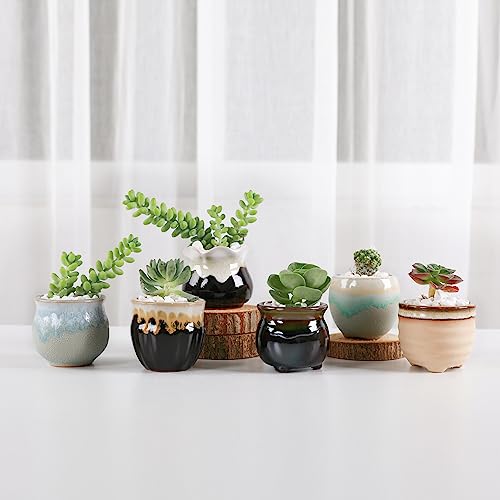 T4U Mini Ceramic Succulent Pots with Drainage - Set of 6, Tiny Pots for Plants, Home and Office Decor, Plant Lover Gifts for Women