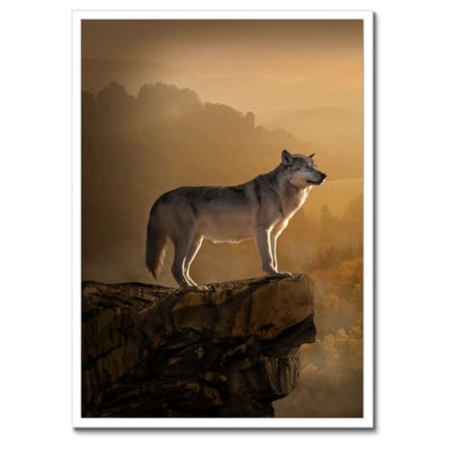 Cadre noir loup gris poster d'art 50 x 70 cm finition premium H7713Z