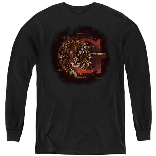 Popfunk Harry Potter Hogwarts Houses Celestial Nomad Collection Kids Long Sleeve T-Shirt for Youth Boys and Girls