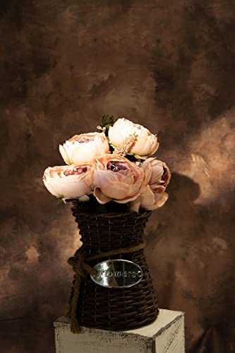 Harfirbe 5X7Ft Abstract Brown Portrait Backdrop Abstract Brown Color Photography Background Baby Headshots Photocall Adult Child Travel Family Newborns Party Decoration Studio Props #TOP1