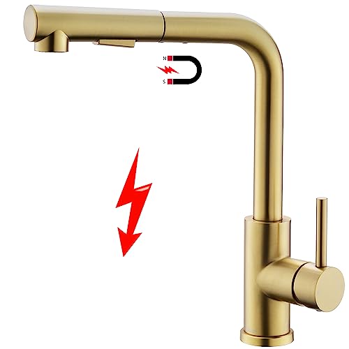 Tohlar Robinet de cuisine basse pression doré, amature de cuisine dorée extensible basse pression avec douchette magnétique, robinet de cuisine en acier inoxydable 3 ports, 2 types de jets, robinet