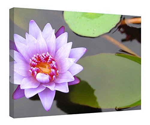 Impression sur toile Pretty Lotus encadrée bois pour une déco zen