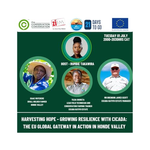 THE STORY OF CICADA - HARVESTING RESILIENCE IN ZIMBABWE'S EASTERN HIGHLANDS