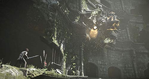 Shadow of The Colossus - PlayStation 4