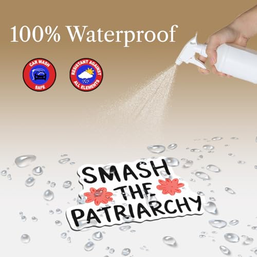 Imán decorativo feminista de 5.5 pulgadas miniatura 6