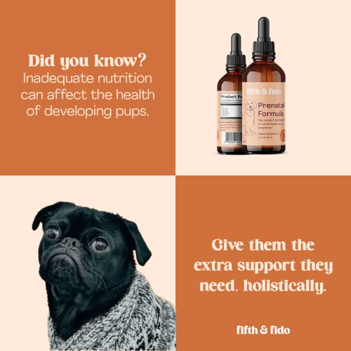Fifth & Fido Dog Prenatal Vitamins For A Healthy Litter - Pregnant Dog Vitamins And Supplements To Support Pregnancy, Overall Health, Milk Production And Nursing - Dog Breeding Supplies - 2 Fl Oz #TOP4