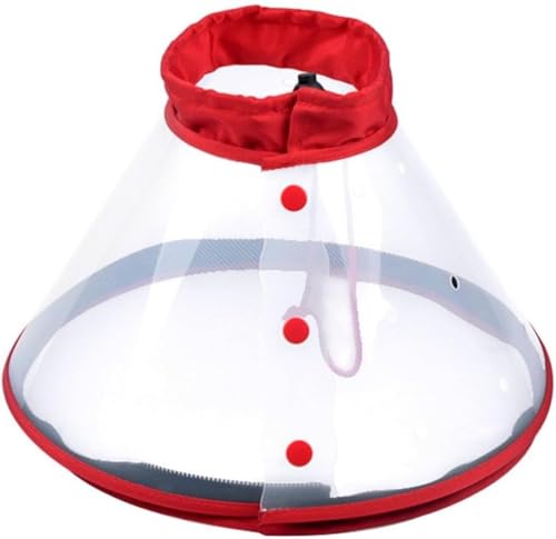 ybgp_f}XN _f}XN   _f}XN p}XN }Y Sh~ ^ qLXL[}XN ybgpi p_f}XN ^` (M)