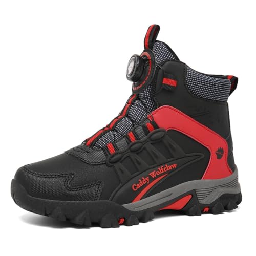 [VimLex] oCNV[Y  Y CfBOu[c _C I[goCu[c Vtgv[g [VOu[c JWAV[Y  nCJbg Ռz ϖ y ʋC oCNpi (ubN/bhB,24.0 cm)