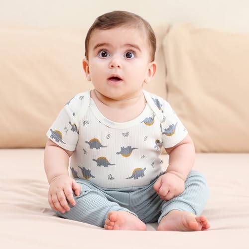 Baby Bodysuit and Pant Set 10 Pack Cotton Summer Newborn Baby Boy Girl Clothes Outfits2