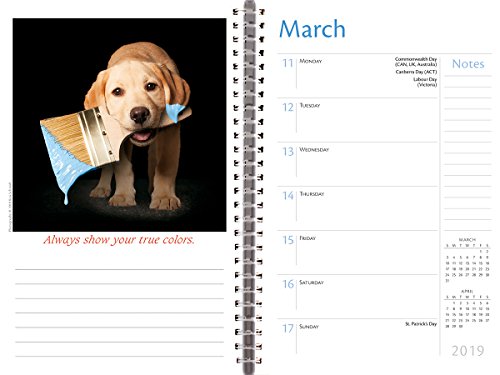 Dogma 2019 18-Month Weekly Planner
