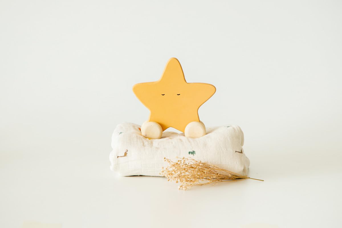 BIRCH & BUG Star Roller Toy (B0D7SJYBJS) Amazon Price History, Amazon Price Tracker