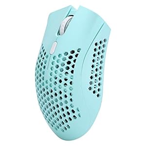 Jectse 2,4 GHz Wireless Gaming Mouse Rechargeable RVB Mice AIMIRABLE DPI pour Desktop -Laptop Utilisateur