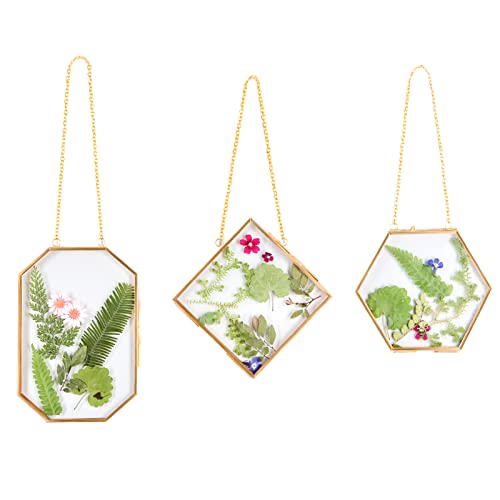 How To Choose The Best Frames For Dried Flowers