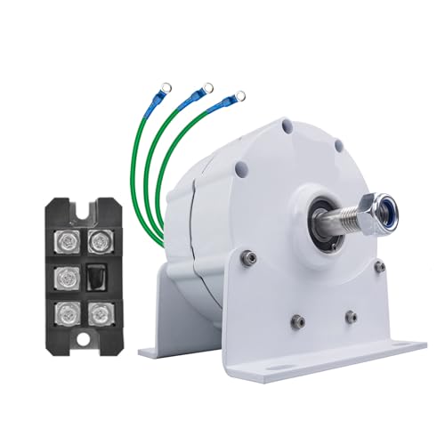 Kit generatore Eolico con regolatore di Carica, apparecchiatura per la Produzione di energia elettrica Verticale, generatore Eolico Senza Ingranaggi ad Alta efficienza da 10000 W - Soluzione