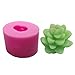 MoldFun 5-Pack Cactus and Succulent Plants Silicone Mold for Fondant Chocolate Candy Cake Decorating Candle Soap Lotion Bar Wax Crayon Melt Plaster Polymer Clay