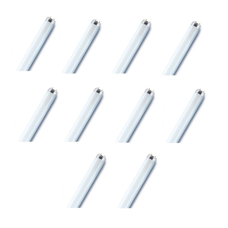 LEDVANCE Osram/Fluorescent Tube Light Basic T8 L 18 Watts 6500k Day Light Otf18W 0.6 m- Pack of 10