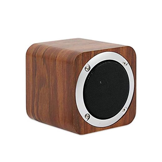 SEVIZ MN Retro Wireless Bluetooth Speaker, 10W Mono Sound, Bluetooth 5.0 with 5 Hours Playback, Portable Speaker, for Home, for Outdoor, for Travel, FM Radio, 10m Wireless Range, Wooden Speaker