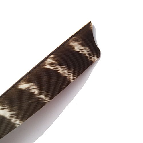 SHARROW 50pcs Plume de Flèche Naturelle 5 Pouces Tir à l'arc Chasse RH