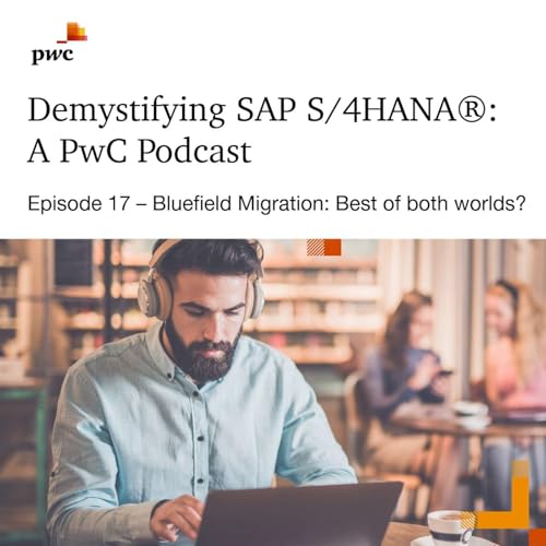 『17: Bluefield Migration: Best of both worlds?』のカバーアート