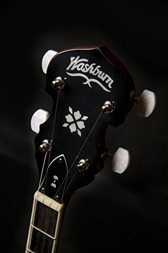 Washburn Banjo, 5 String #TOP4