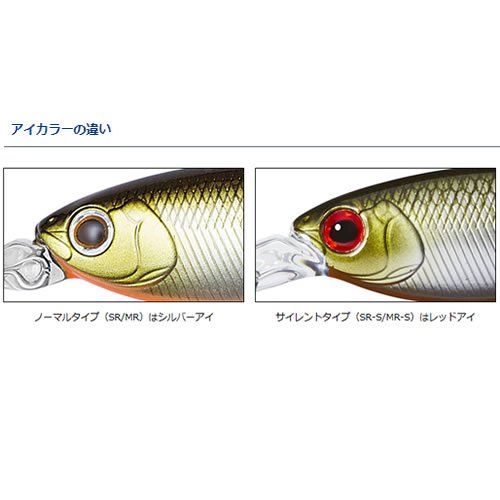 Amazon.co.jp: ダイワ(DAIWA) バス スティーズ シャッド 赤羽シャッド