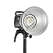Godox MS300V Studio Strobe Light Kit, 300W Studio Strobe Light, 2.4G Wireless System, Recycle Time 0.1～1.8S, with Softbox, Umbrella, Light Stand, Reflector, DM16 Trigger, Bag, Sandbags