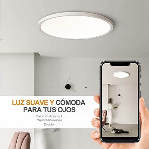 Spots, Reflectores Y Lámparas De Techo, Imagen adicional