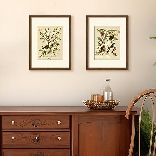 Image of upsimples 12x16 Picture Frame, Display Pictures 8.5x11 with Mat or 12 x 16 Without, Wall Hanging Poster Frames, Brown, 1 Pack