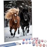 【大人のための数字塗り絵】：あなたは大人ですか？初心者ですか？中級者ですか？アート愛好家ですか？年齢やスキルレベルは関係ありません！数が数えられるなら、絵を描くこともできます 【HDカラーキャンバス】：大人向けの数字塗り絵用キャンバスは、防湿・防水性に優れ、厚みがあり浸透しにくく、絵の具がつきやすいです。高解像度印刷技術を使用しているため、キャンバス上の数字は鮮明で読みやすいです。顔料は鮮やかな色で、色あせや乾燥しにくいです 【塗りやすい】：数字塗り絵キットは簡単です。キャンバス上の数字に合わせ...