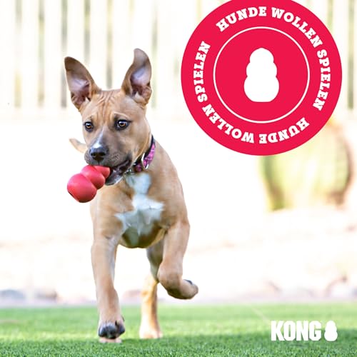 KONG Ball mit Loch - Hundespielzeug zum Apportieren - Klassischer Gummiball für Training und Spiel - Für Große/Mittelgroße Hunde - Rot