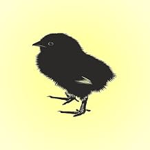 Chick Sounds