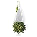 Tea Forte Citrus Mint Herbal Tea Event Box, Bulk Pack of 48 Pyramid Infuser Tea Sachets for All Occasions