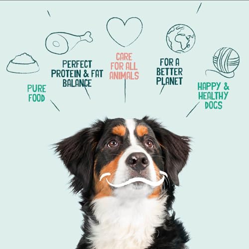 Yarrah Adult Nahrhaftes Bio-Trockenfutter für Hunde – für alle Erwachsenen Hunde | Exquisite Biologische Hundebrocken mit Huhn, 5kg | 100% biologisch & frei von künstlichen Zusätzen
