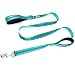 DCbark Double Padded Traffic Handle Dog Leash, Reflective Leash with 2 Handles (L, Teal)