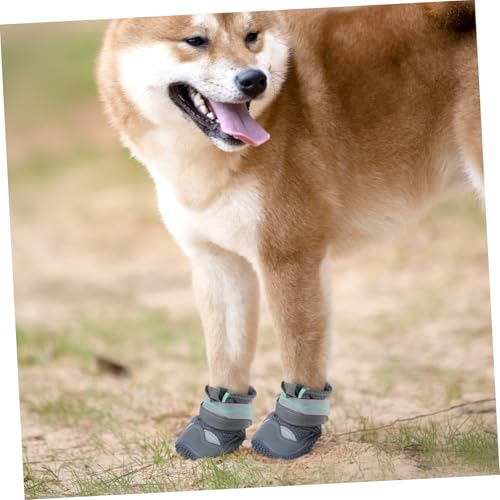 Bottes protectrices pour de chien pour protéger les pattes des blessures