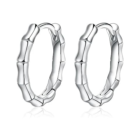 Hypoallergenic Silver Bamboo Huggie Earrings Cover