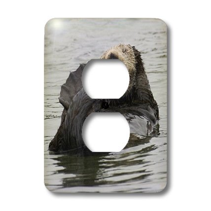 Loutre de mer plaque interrupteur 3dRose cache-prise Californie