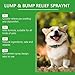 Lmoy Melcora Spray for Dogs, Nature Soothing Solution for Itchy Skin, Pet Skin Treatment Spray (2PCS)