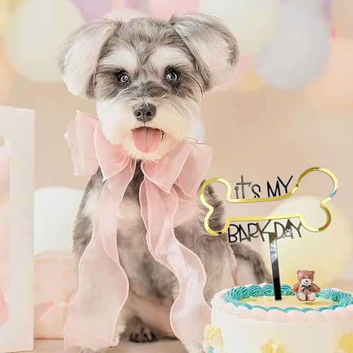 1 x Hunde-Geburtstagskuchen-Dekorationseinsatz,Goldener Hunde Knochen Kuchenaufsatz, Acryl Haustier Welpen Kuchen Topper Deko für Hunde Geburtstag, Stylische Haustier Kuchenaufsatz Deko