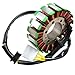 Motorcycle Parts Generator Stator Coil Assembly Kit Compatible With Automotive Motorcycle Parts CBR600 CBR600F4i 2001 2002 2003 2004 2005 2006 CBR 600 F4i For Part Number 31120-MBW-J21