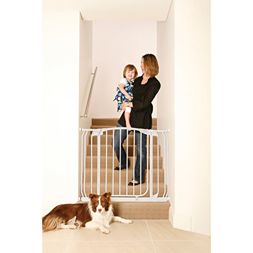 Top 10 Best dream baby gate extensions Reviews NecoleBitchie