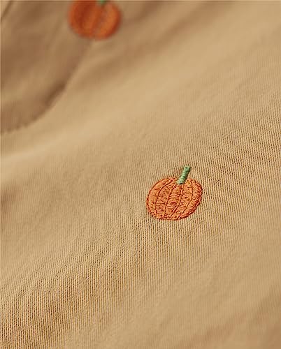 Gymboree Boys and Toddler Chino Pants2