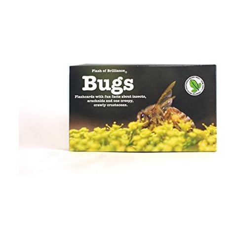 Flash of Brilliance Bug Flash Cards with Fun Facts Cover