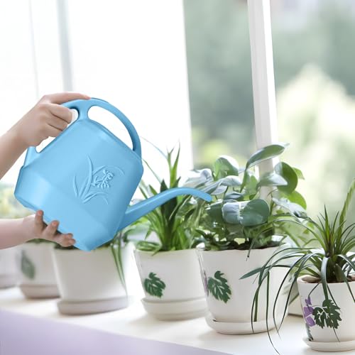 Image of Plant Watering Can - 1 /2 Gallon - Sky Blue