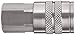 Dixon DC10S Stainless Steel 303 Air Chief Industrial Interchange Quick-Connect Hose Fitting, 1/2