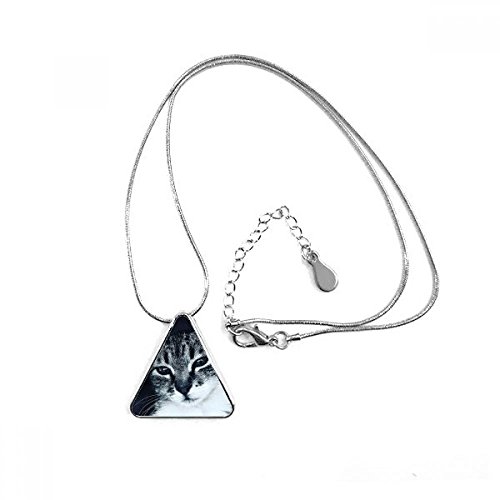 Collier pendentif triangle chat gris le cadeau idéal pour amoureux des animaux