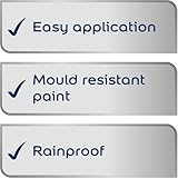 ASA® Dulux WeatherShield Exterior Wood & Metal High Gloss Easy Application Rainproof Mould Resistant Paint Conker 750ml - Image 2