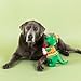 Fringe Studio Fiesta Saurus Plush Dog Toy, Pet Shop Collection (314338)