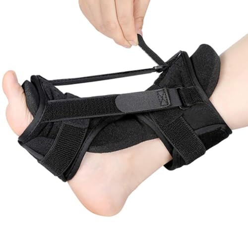 AZIEBAY ؖpiCgXvgALkXgbvt߉\ȃobNiCgXvgtbgAƁAAy܂̒ɂ݁AALXFp̒ʋCNbV